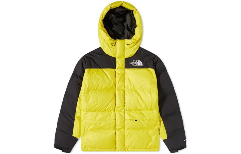 Пуховик мужской желтый The North Face, желтый