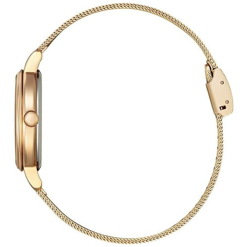 Часы наручные Citizen EW2447-89A