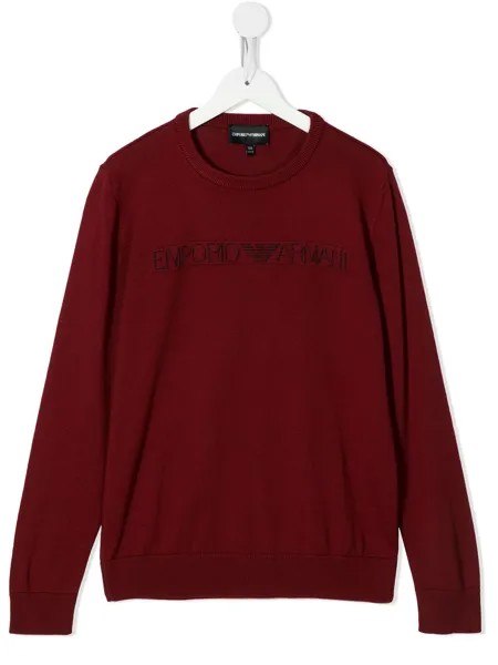 Emporio Armani Kids джемпер с вышитым логотипом