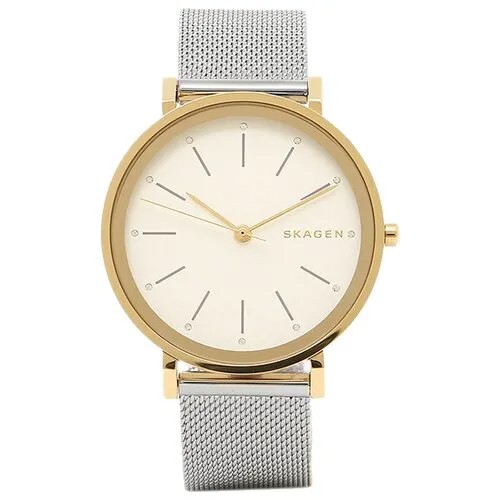 Наручные часы SKAGEN Mesh, белый