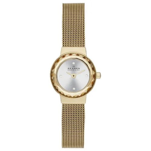 Наручные часы Skagen SKW2186