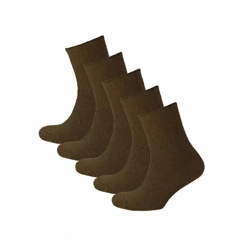 Носки STATUS, 5 пар, размер 23-25, коричневый