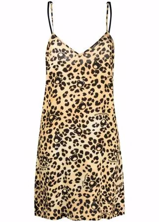 Moschino ночная сорочка с леопардовым принтом