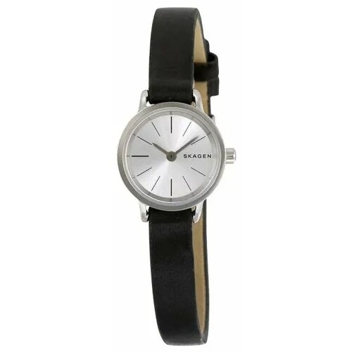 Наручные часы Skagen SKW2361