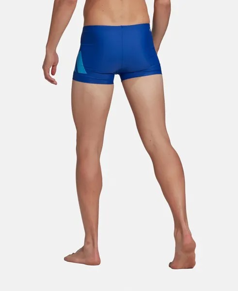 Плавки для плавания adidas, цвет Royal Blue