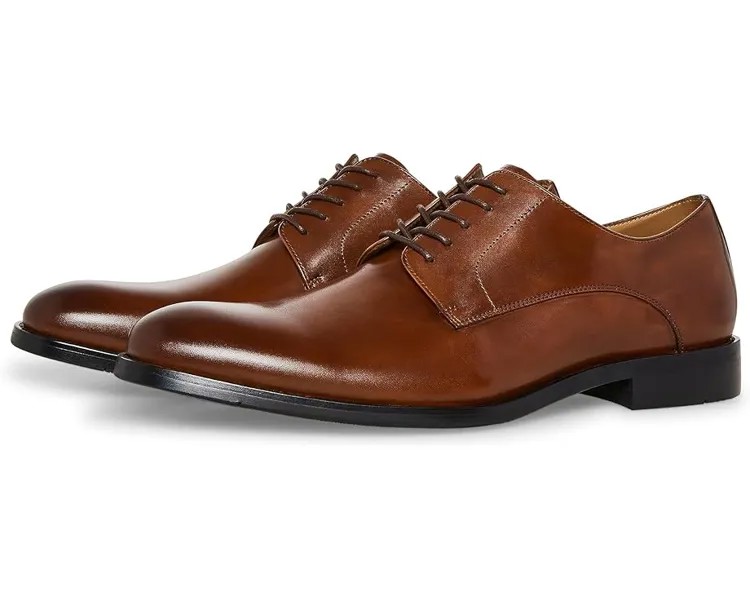 Оксфорды Steve Madden Daedric, цвет Tan Leather