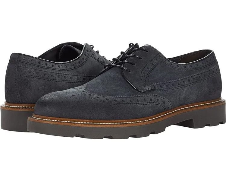 Оксфорды Bruno Magli Gil, цвет Dark Grey Suede