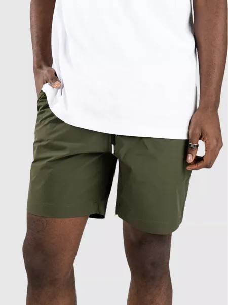 Шорты Hoxstop Ew 18 Volcom, зеленый