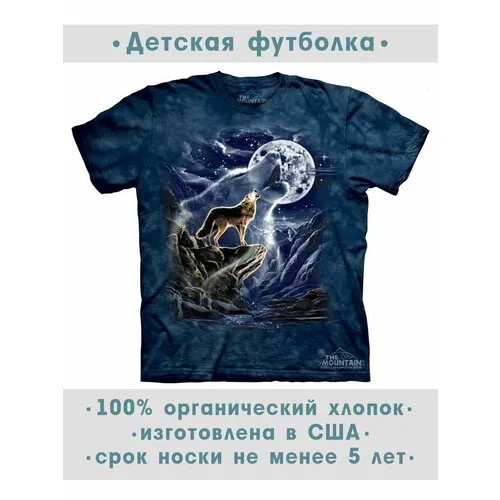 Футболка The Mountain, размер S-Y, синий