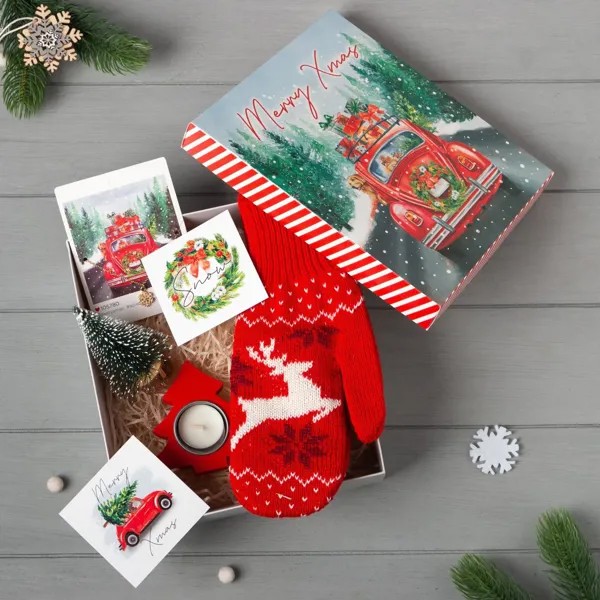 Новогодний подарочный набор merry xmas, варежки р-р 19 и акс (4 предм)