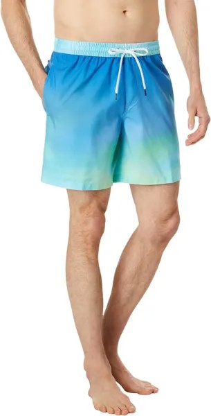 Шорты для плавания Quiksilver Everyday Breeze 17