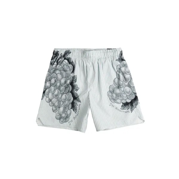 Шорты Jw Anderson Grape Swim Shorts JW Anderson, синий