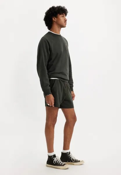 Спортивные штаны Pride Graphic Unisex Levi's, черный