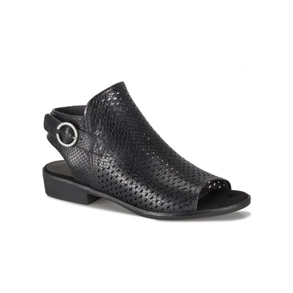 Женские черные сандалии Scotlyn на низком каблуке с открытым носком, НОВИНКА