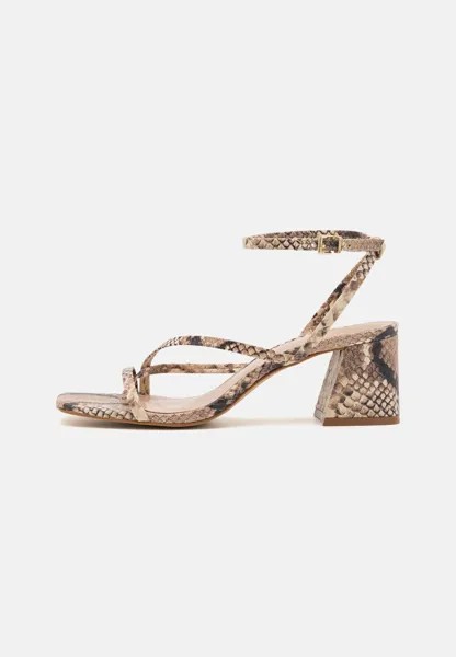 Сандалии Adrauder ALDO, коричневый