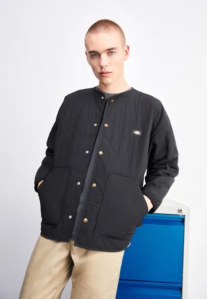 Куртка  Dickies Thorsby Liner Unisex, черный