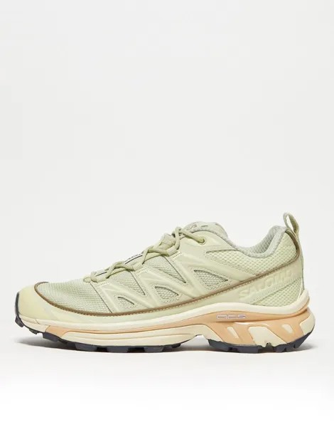 Кроссовки Salomon XT-6 Expanse из люцерны