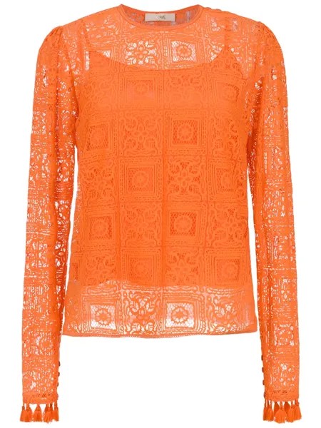 Nk long sleeved lace top