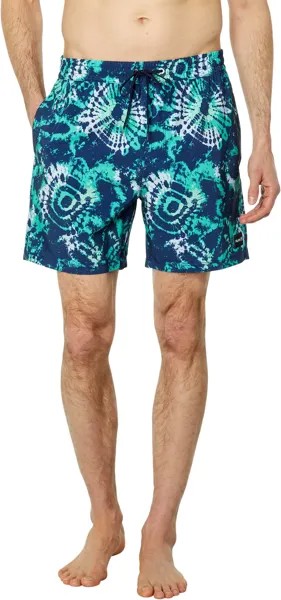 Шорты для плавания Hurley Cannonball 17