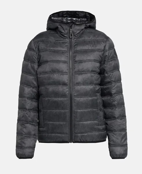Зимняя куртка Q/S designed by, темно-серый
