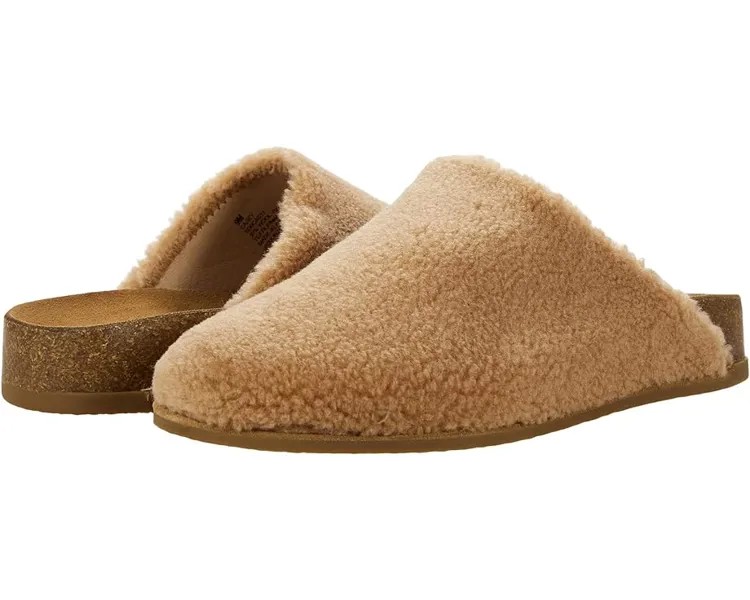 Домашняя обувь Splendid Casey, цвет Warm Sand