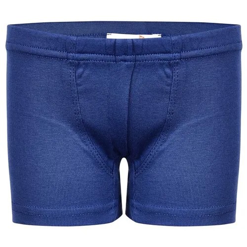 Трусы Roxy Foxy размер 104, синий