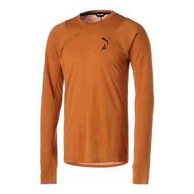 Puma Seasons Wool Crew Neck Long Sleeve Running Athletic T-Shirt Mens Brown Casu