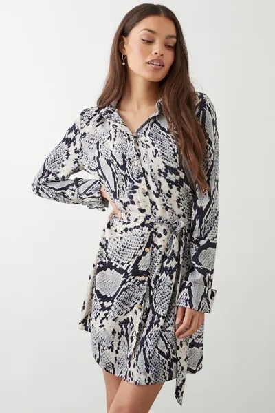 Мини-платье-рубашка с змеиным принтом Petite Dorothy Perkins, мультиколор