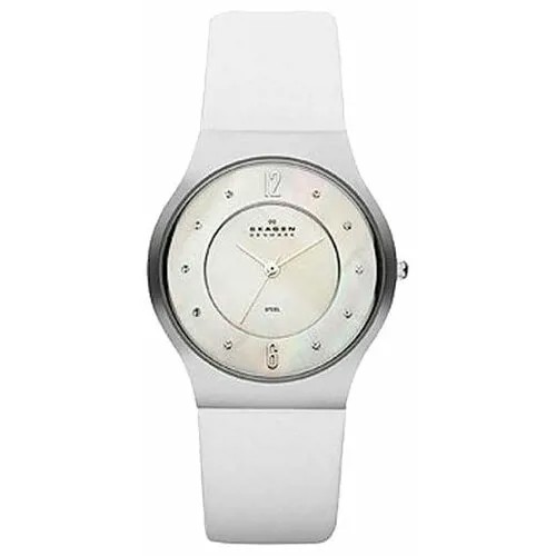 Наручные часы Skagen SKW2027