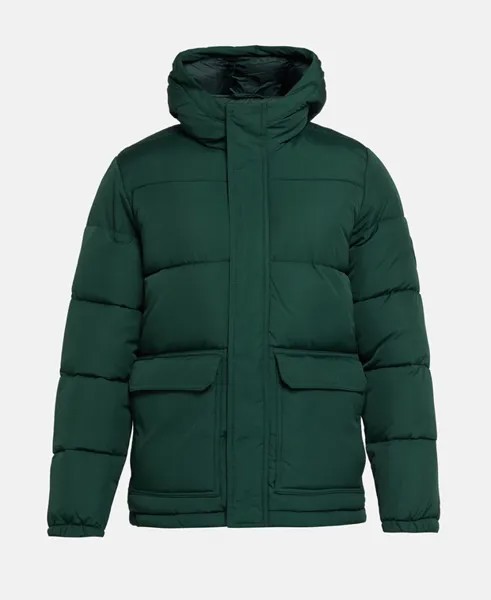 Зимняя куртка Hollister, зеленый