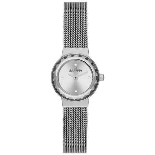 Наручные часы Skagen SKW2184