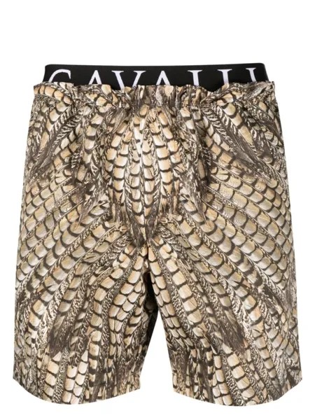 Roberto Cavalli плавки-шорты с принтом, нейтральный цвет