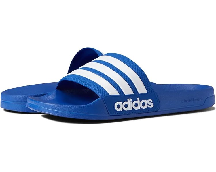 Сандалии Adidas Adilette Shower, цвет Team Royal Blue/White/Team Royal Blue