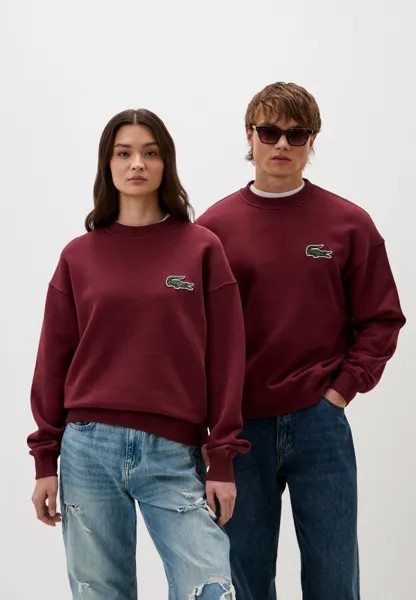 Свитшот Lacoste