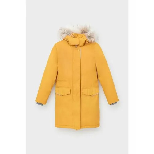 Куртка crockid ВК 38107/1 ГР, размер 134-140/72/66, желтый