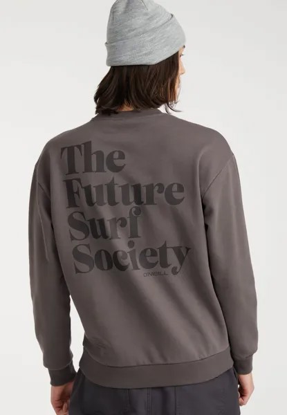 Толстовка Future Surf Society O'Neill, цвет rabe