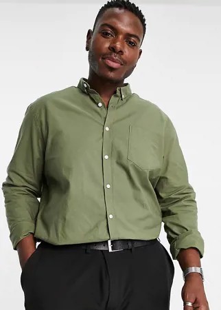 Оксфордская рубашка из органического хлопка цвета хаки с длинными рукавами New Look Plus-Зеленый цвет