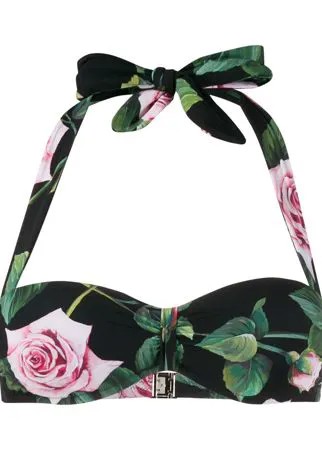 Dolce & Gabbana лиф бикини с принтом Tropical Rose