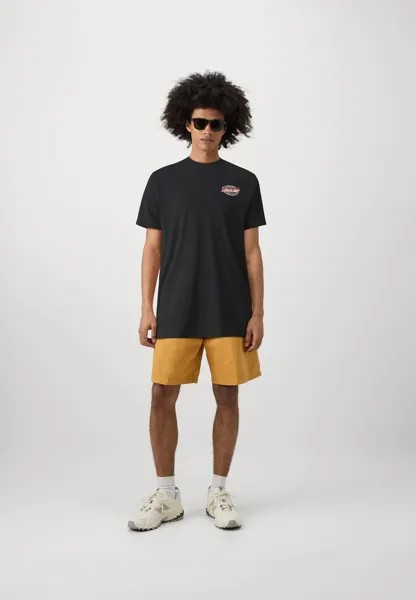 Футболка с принтом Global Flame Dot Unisex Santa Cruz, черная