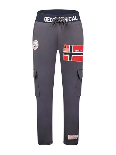 Спортивные штаны Geographical Norway, темно-серый