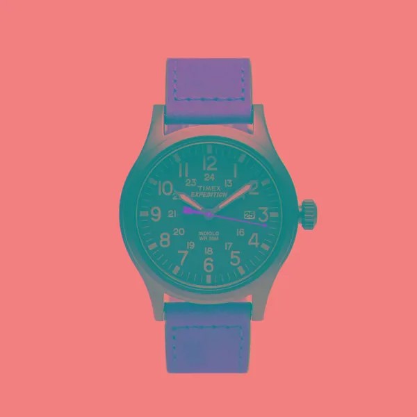 Наручные часы Timex
