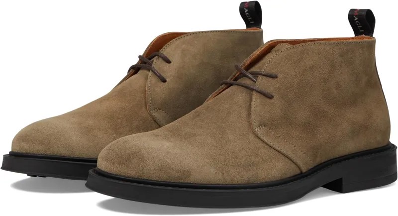 Оксфорды Taddeo Bruno Magli, цвет Taupe Suede