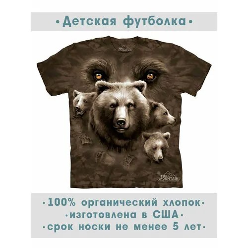 Футболка The Mountain, размер M-Y, коричневый