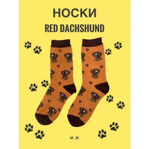 Носки SockDaddy, размер 36/43, черный, оранжевый, коричневый