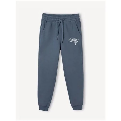 Серые спортивные брюки Jogger с принтом 