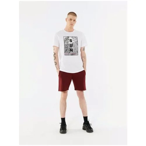 Футболка Outhorn MEN'S T-SHIRT Мужчины HOL21-TSM649-10S S