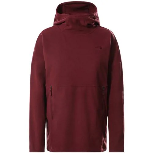 Худи The North Face
