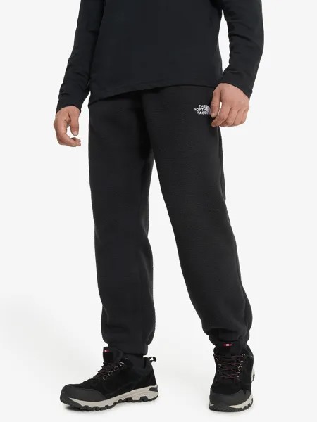 Брюки флисовые мужские The North Face Fleeski, Черный