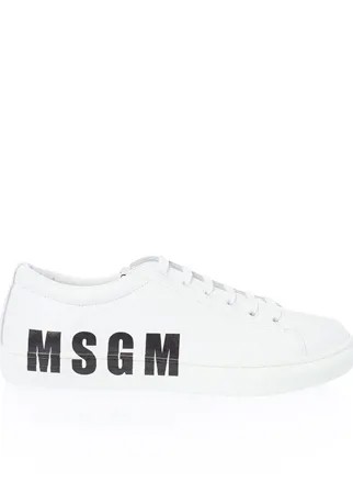 Кеды MSGM