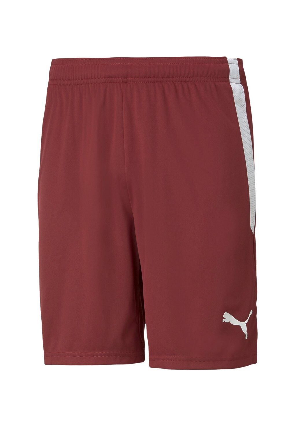 Шорты TEAMLIGA FOOTBALL Puma, цвет rot